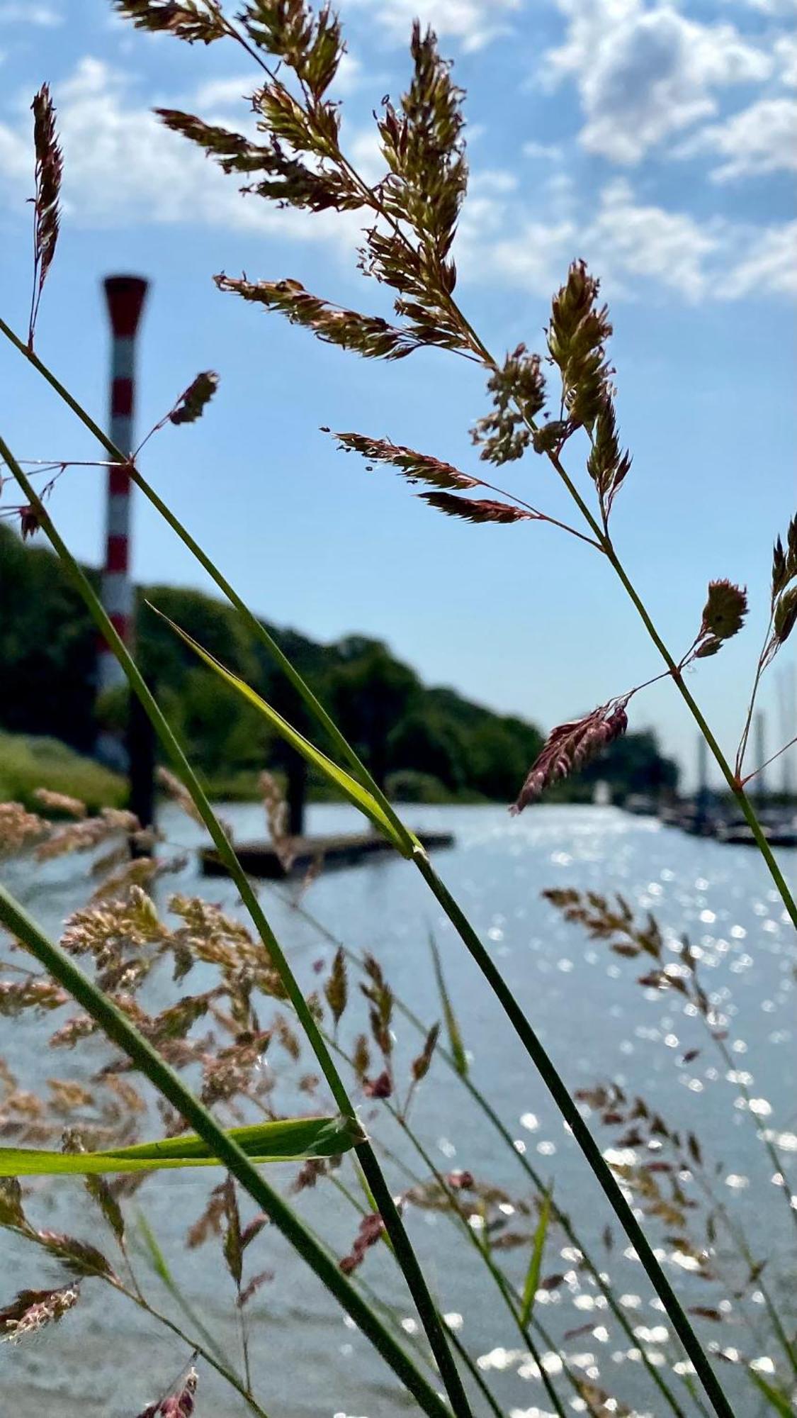 Fischerhaus Blankenese Hamborg Eksteriør billede