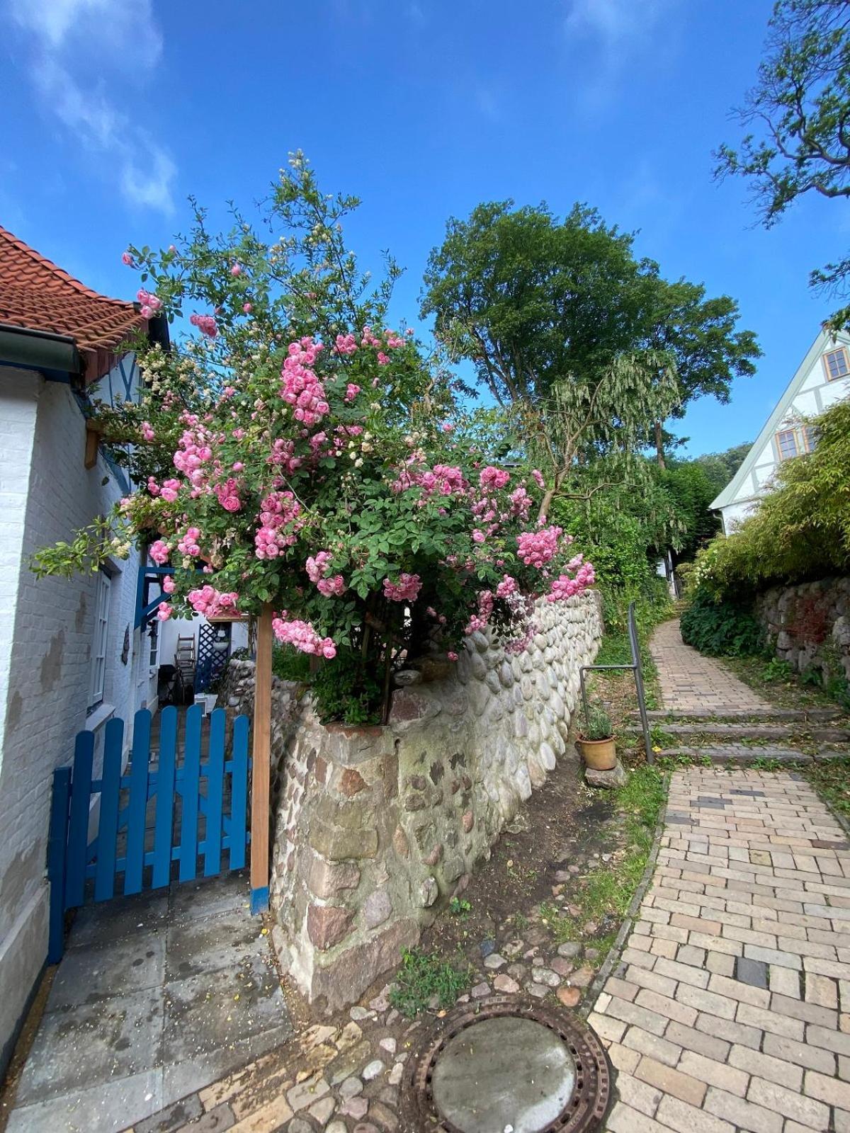 Fischerhaus Blankenese Hamborg Eksteriør billede